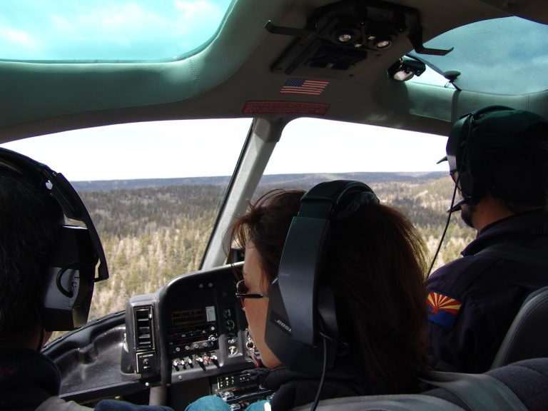 Grand Canyon Air Tour Operators